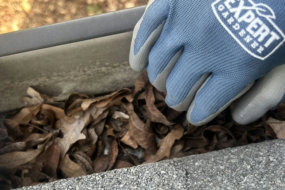 Gutter Cleaning Fair Oaks