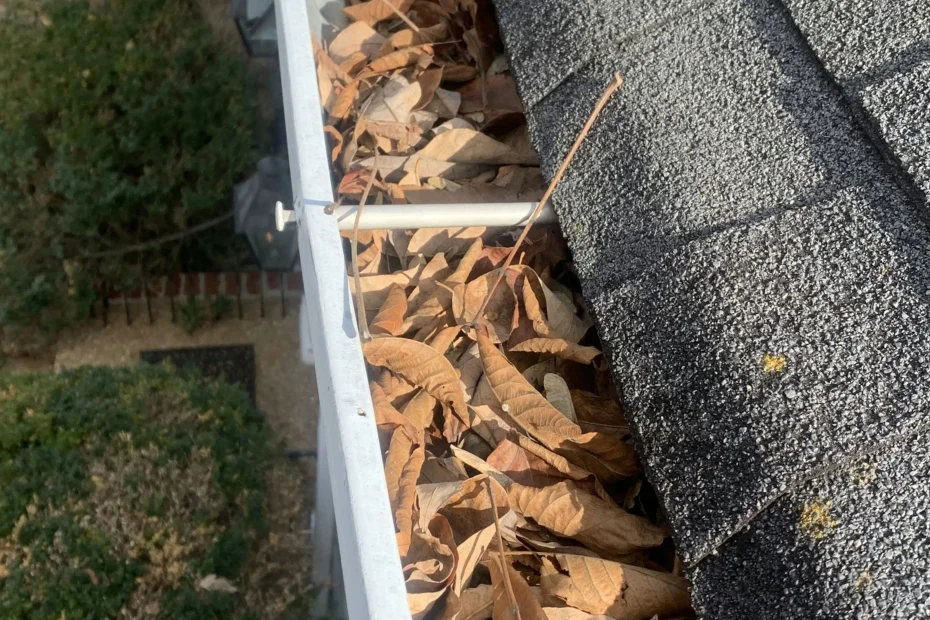 Gutter Cleaning Fair Oaks