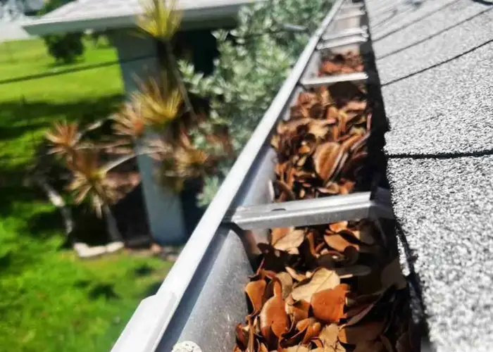 Gutter Cleaning Fair Oaks home page